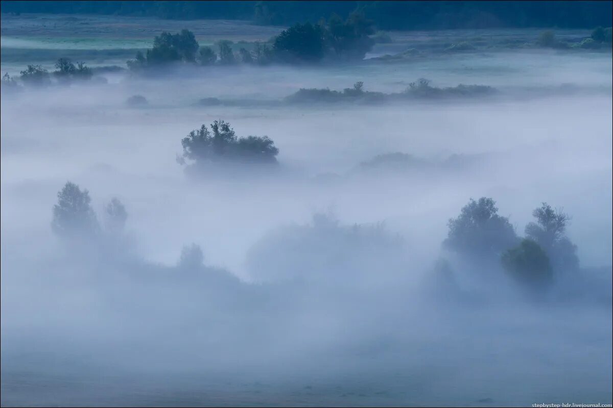 Плотная пелена. Густой туман. Сплошной туман. Туман явление природы. Туман для детей.