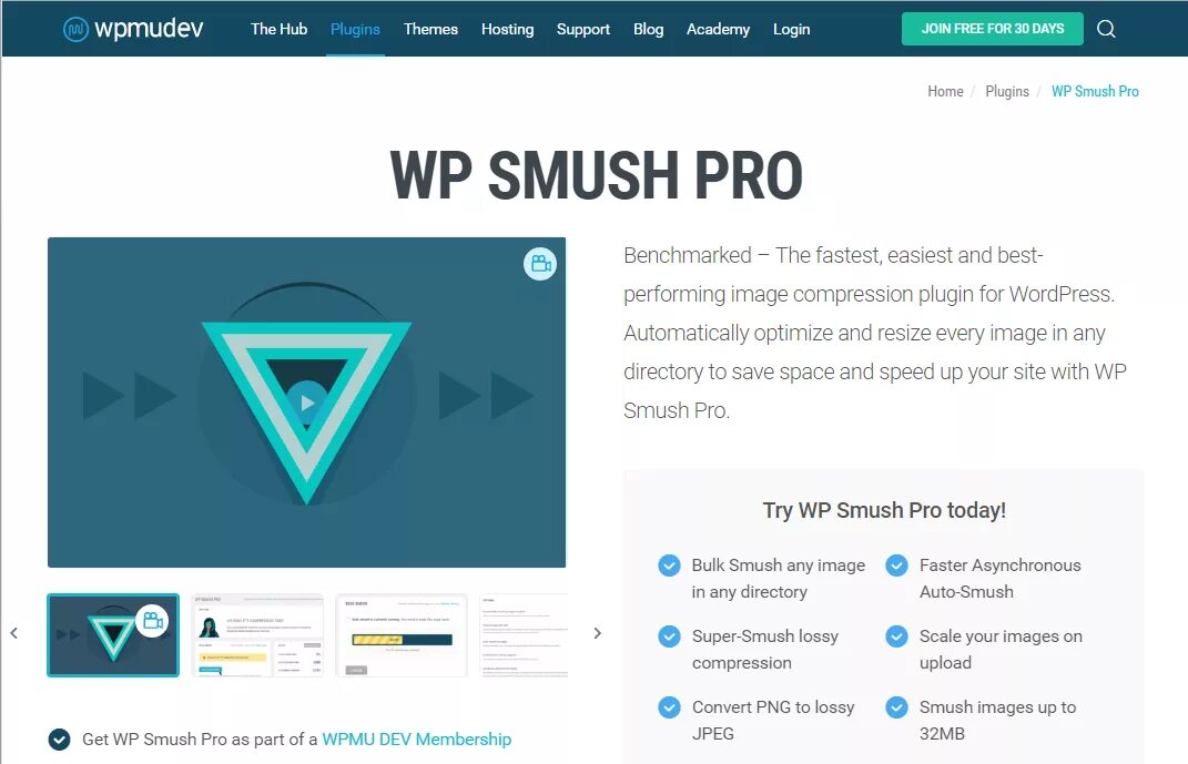 Wordpress uploads