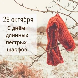 День длинных пестрых шарфов 29 октября картинки