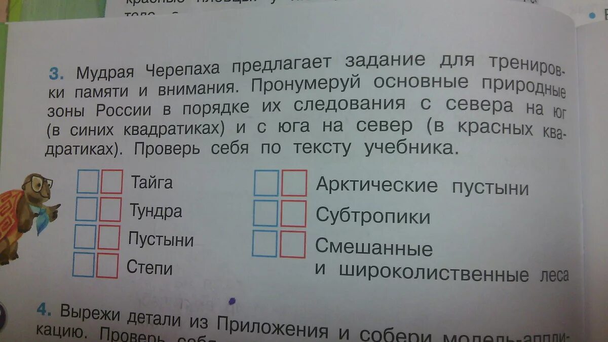 Мудрая черепаха предлагает тебе задание напиши. Мудрая черепаха предлагает тебе задание для тренировки памяти. Мудрая черепаха предлагает задание. Мудрая черепаха предлагает задание для тренировки. Мудрая черепаха предлагает задание для тренировки памяти и внимания.