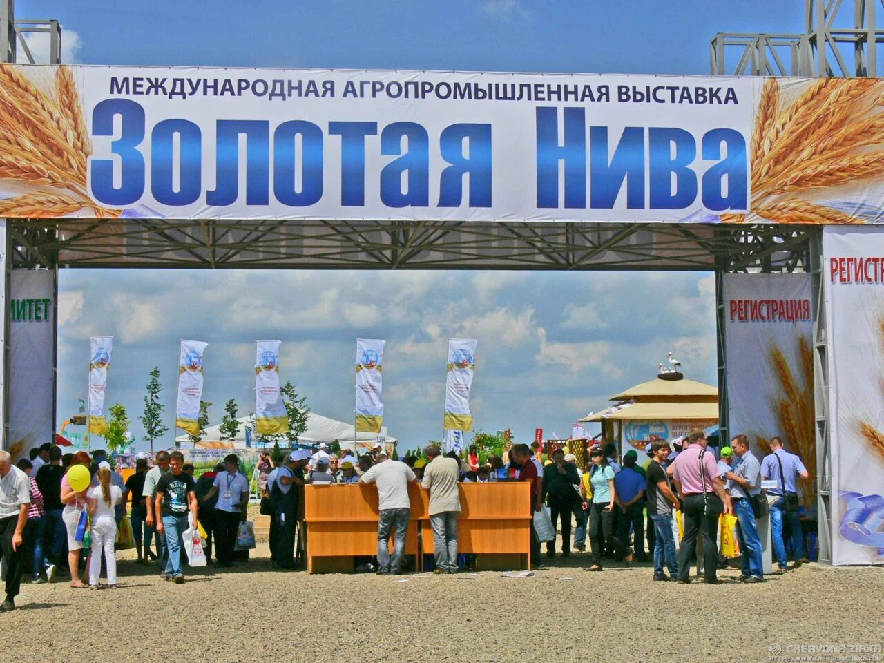 Выставка усть лабинск золотая нива. Золотая нива усть лабинск. Выставка усть лабинск. Золотая нива усть-лабинск 2023. Золотая нива город.
