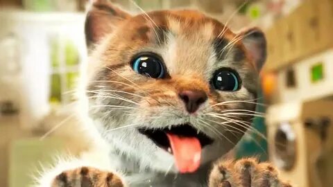 Котенок кнопа и его друзья