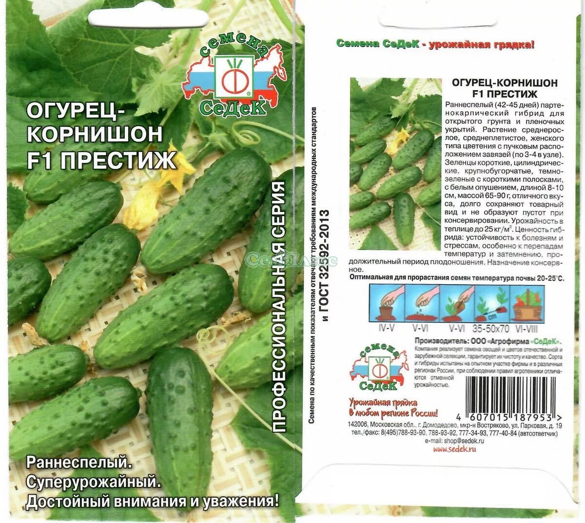 Чем полезны огурцы. Температура в теплице для помидор. Температурный режим для рассады огурцов в теплице. Температурный режим для рассады огурцов в теплице. Условия прорастания семян биология 6.