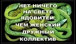 Коллектив змеи