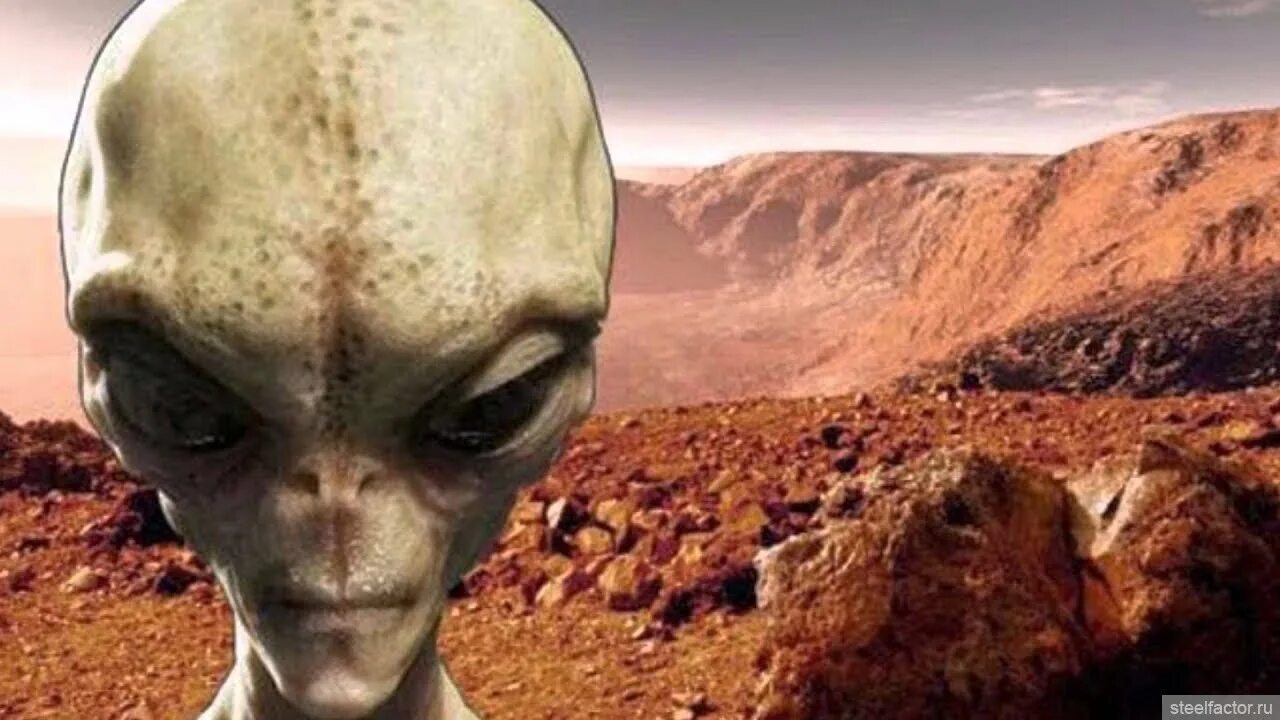 Инопланетная жизнь на земле. Инопланетная жизнь на земле