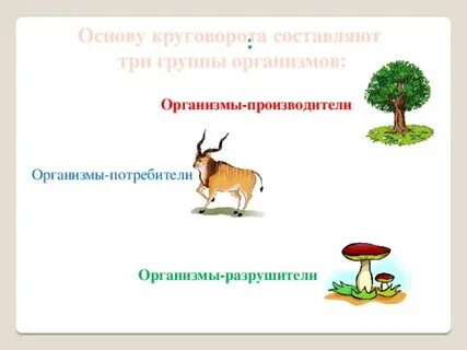 Производители потребители c