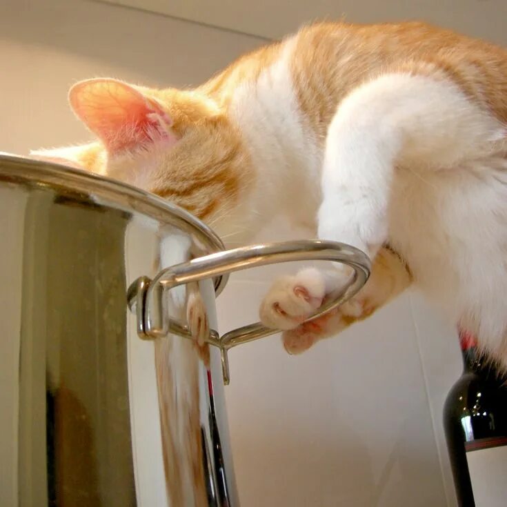 Ну чуть чуть. Чуть чуть на донышке диана шурыгина. Совсем чуток. Чуток. Осталось совсем немного.