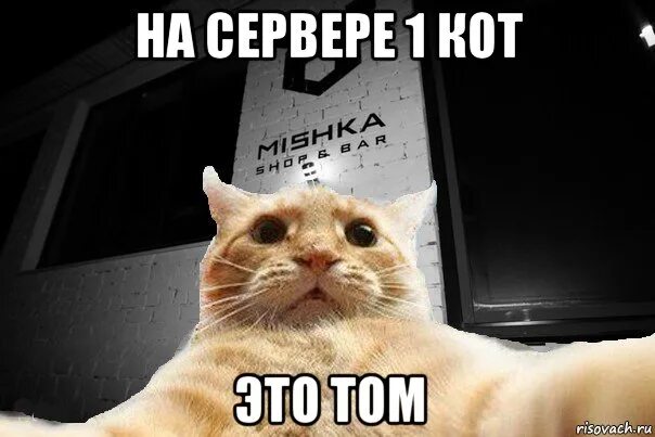 Котик до свидания. Пришло время прощаться. Пока пока. Скажи пока. Лого мизантроп.
