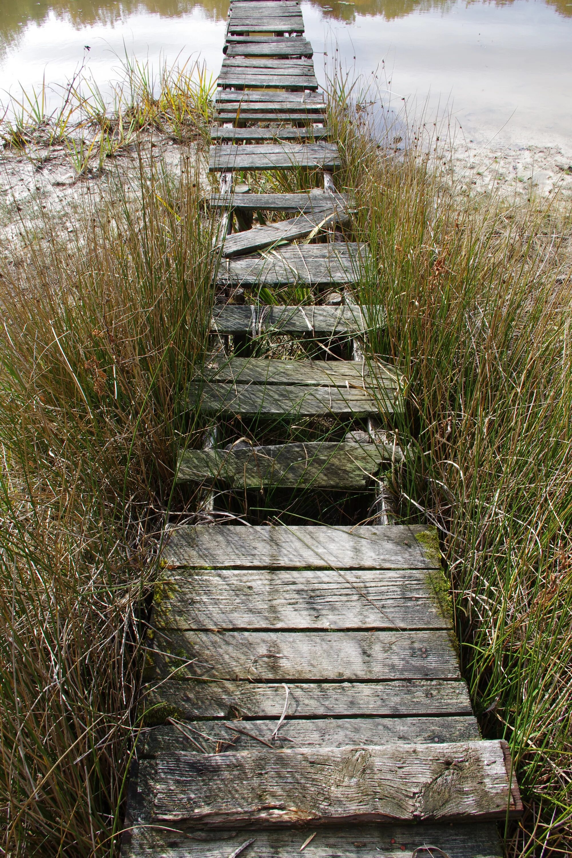 Пирс болотное. Плавучие садки. Озеро плетень пильге. Катамаран прибой. Понтонные садки для рыбы.