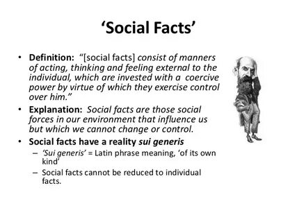 Fact examples