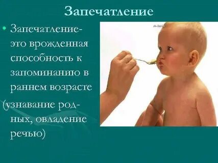 Способность запоминаться