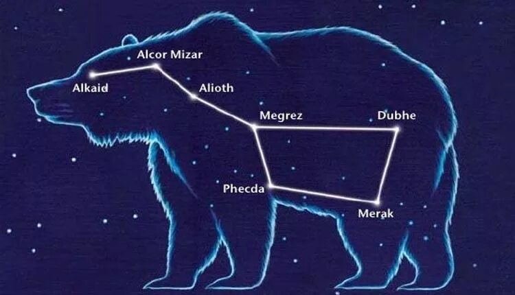 Ведомство большая медведица. Большая Медведица Созвездие. Большая Медведица (Ursa Major). Созвездие ковш большой медведицы. Силуэты созвездий.