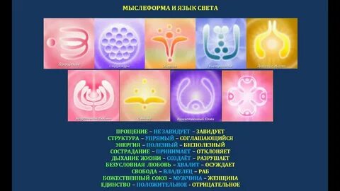 Язык прими