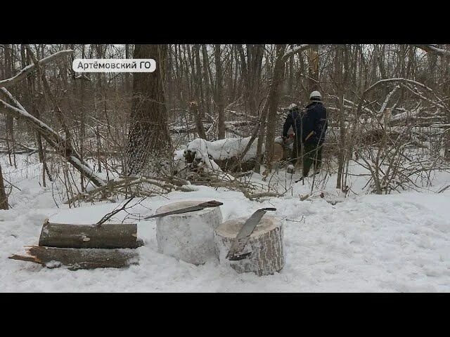 Сбор валежника в 2025. Памятка по сбору валежника. уборка валежника. закон о сборе валежника в лесу. валежник из леса для клумб.