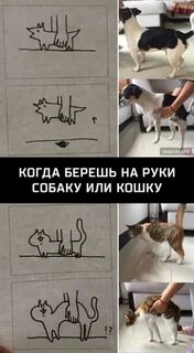 Можно взять в руки