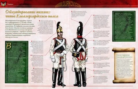 Проект российская полка