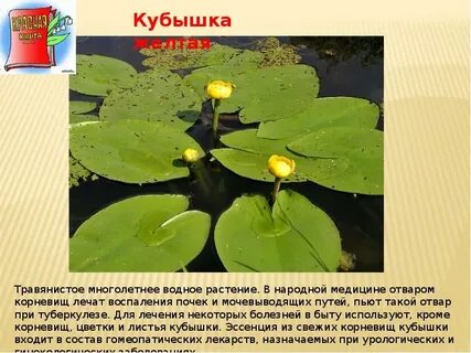 Владимирская красная книга