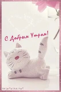 Доброе утро любимому коту