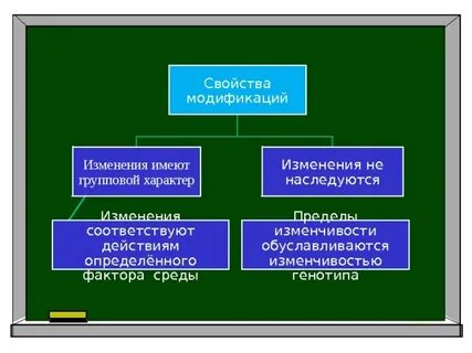 Свойства модификаций