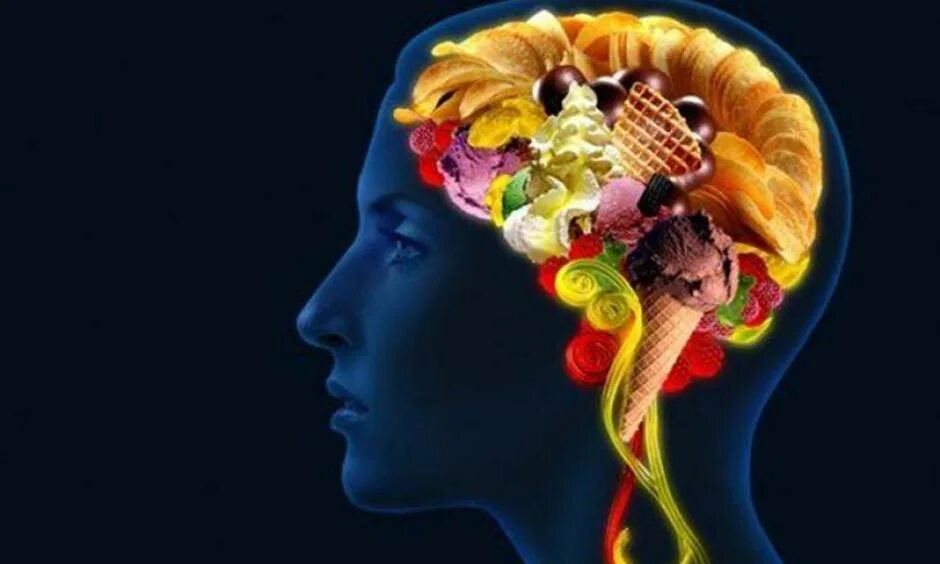 Мозг человека как улучшить работу. Восприятие мозга. Мозг и сладкое. Мозг образы. Мозг питается.