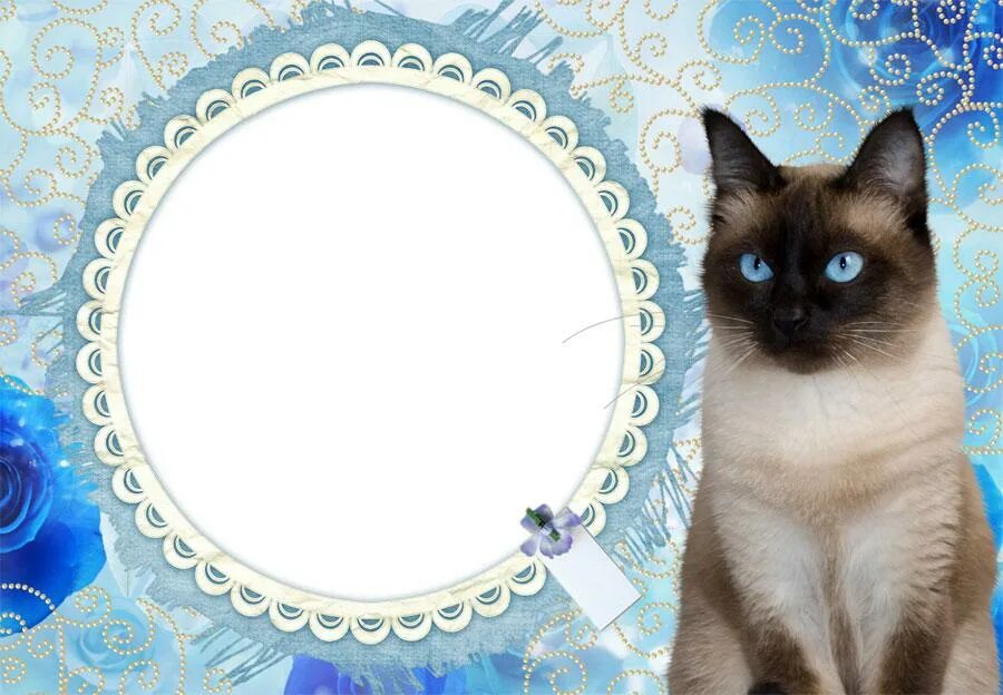 Скачать Кот Фоторамки APK для Android