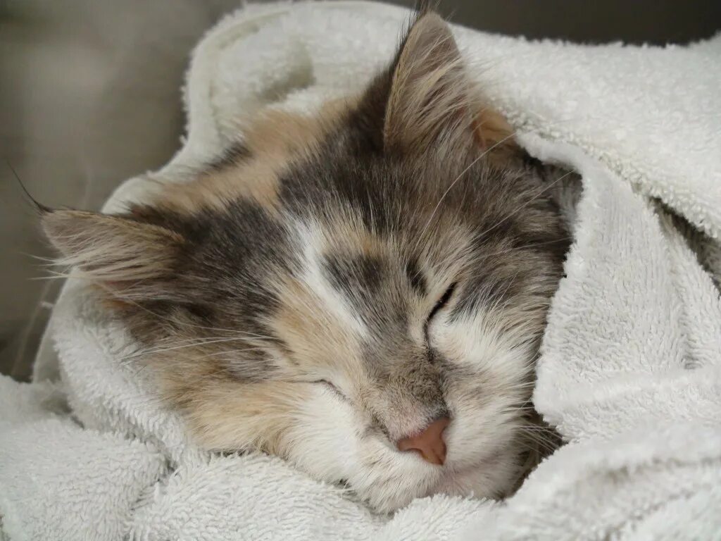 Ночь любви. Спокойной ночи нежные. Нежный сон лоскутова. Красивых снов. Нежный сон лоскутова.