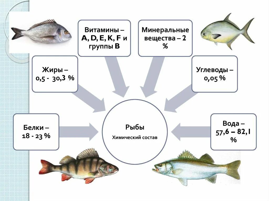 Пищевая ценность рыбы схема. Рыба в питании человека. Ценность рыбы. Полезные качества рыбы.