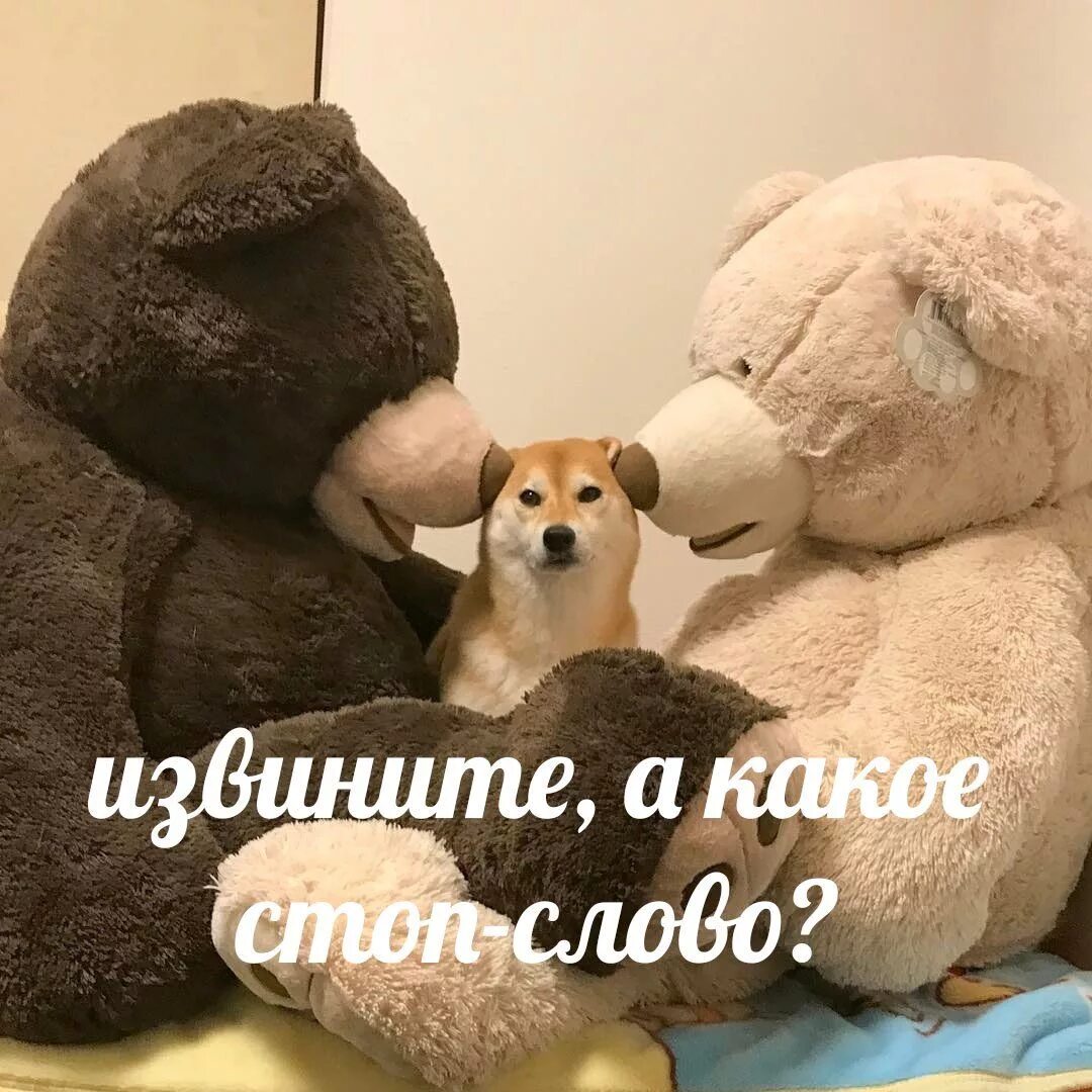 Извините а какой то что то. А какое стоп слово. а какое стоп слово мем. извините а какое стоп слово. стоп слово прикол.