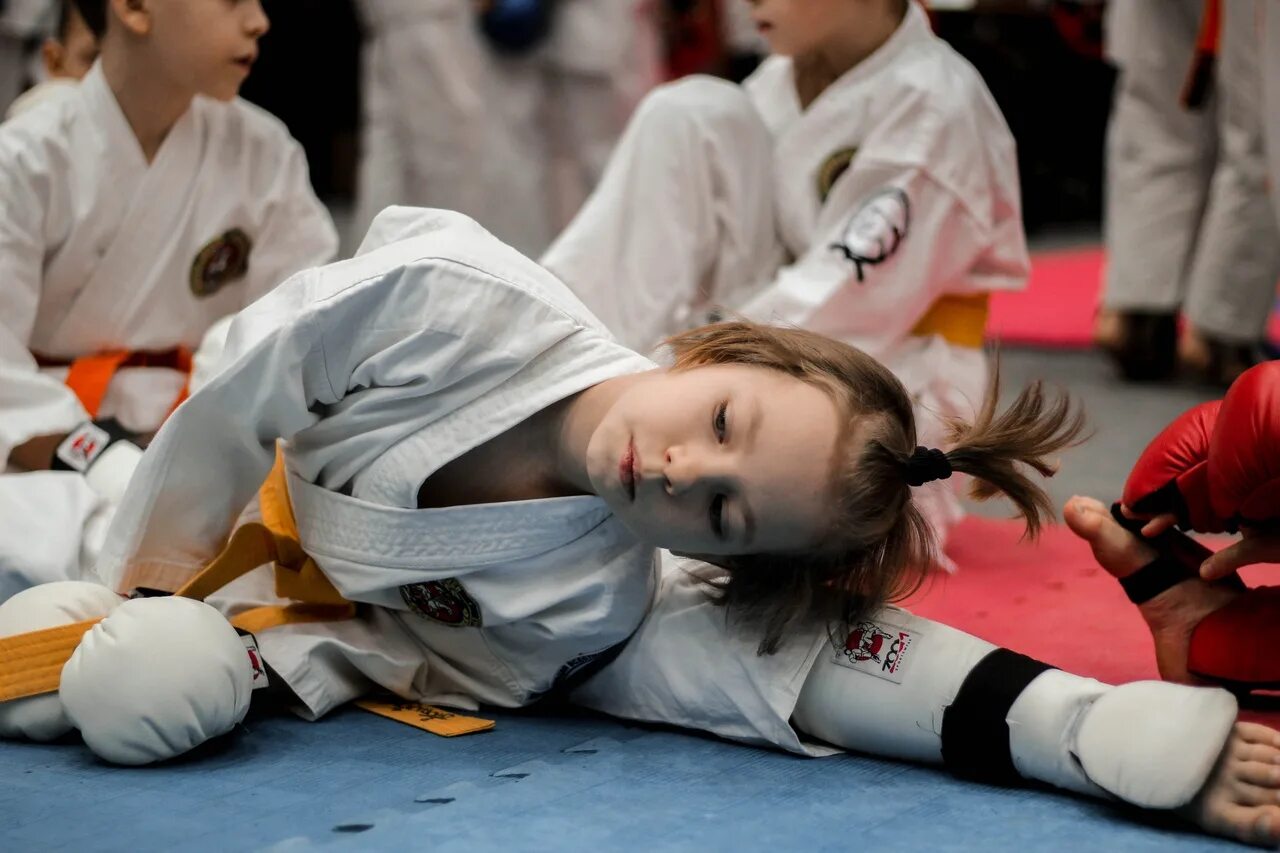 Единоборства курск. Академия единоборств рязань. Адлер академия единоборств. Единоборства курск. Кафе курская академия единоборств.