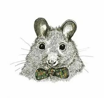 These are funny mouse