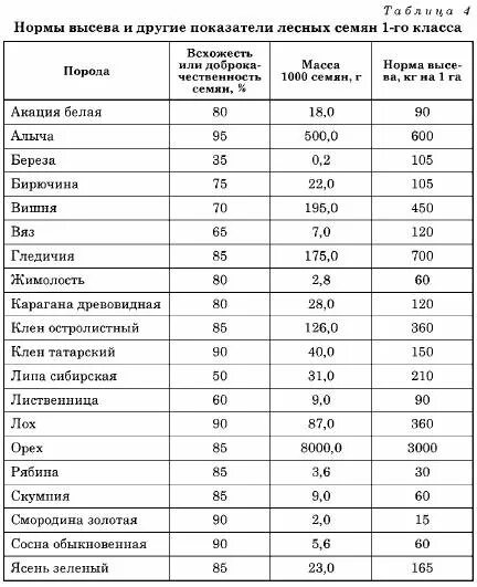 Сроки посева хвойных пород. Норма высева семян сосны обыкновенной в питомнике. Нормы высева сосны обыкновенной кг на 1 га. Нормы высева семян лиственницы сибирской. Норма высева семян сосны.