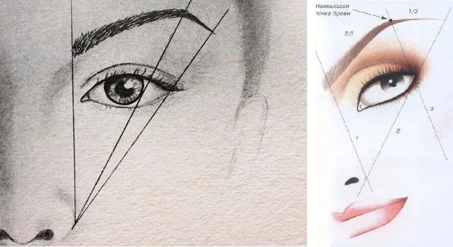 Схема бровей. Как правильно нарисовать форму. Схема построения бровей ниткой. Схема построения бровей ниткой. Схема окраски бровей.