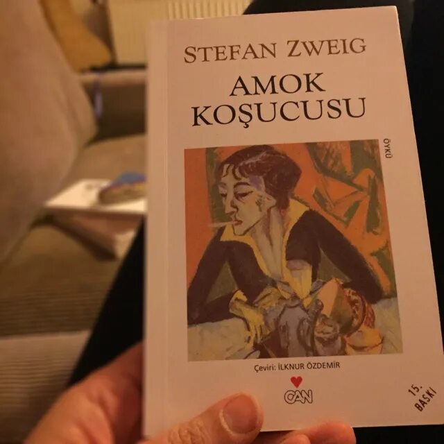 Нетерпение сердца кратко. Амок Цвейг иллюстрации.