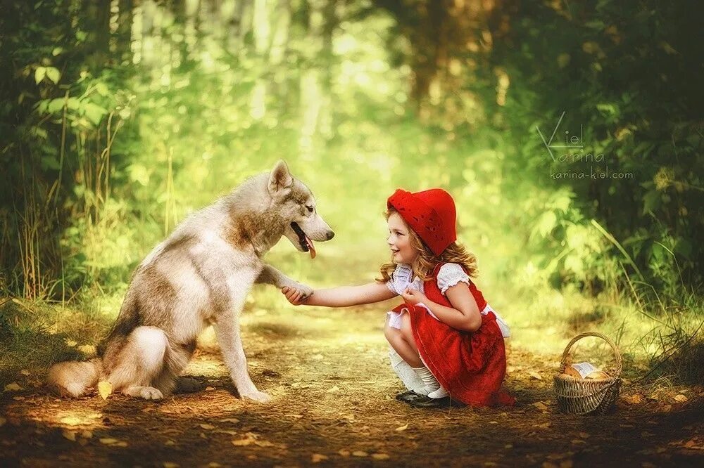 Игра дети и волк. Красная шапочка. Красная шапочка и волк. Сказочные фотосессии для детей. Фотосессия красная шапочка детская.