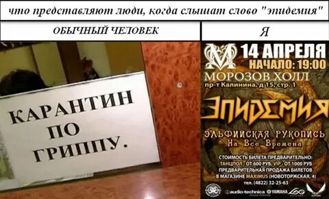 Эпидемия тверь