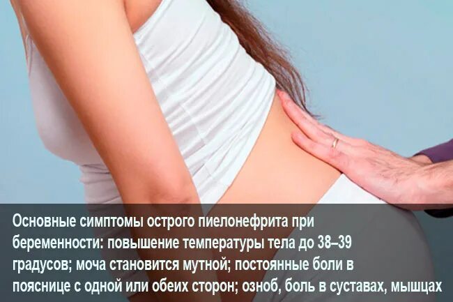 Пиелонефрит 2 триместр. Почки у беременных симптомы. Болят почки у беременной. Болят почки при беременности. Болят почки при беременности симптомы.