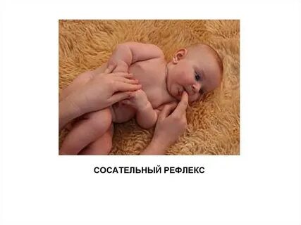 Рефлекс лица