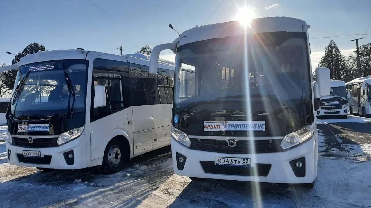 ГУП Крымтроллейбус. ПАЗ вектор Симферополь. Крымтроллейбус автобусы. Автобус Крым.