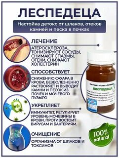 Настойка леспедеца снижает сахар и холестерин, выводит камни и песок, помогает п