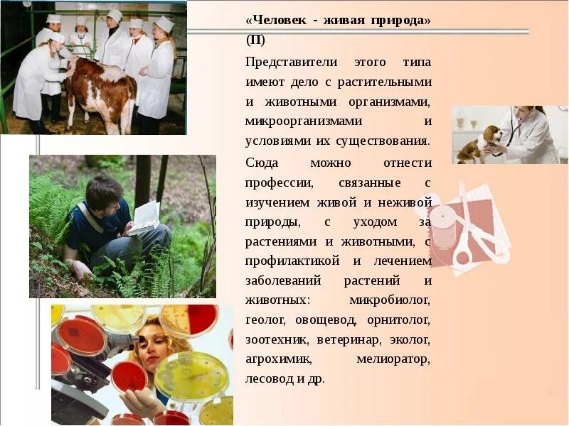 Человек Живая природа профессии. Профессии связанные с живой природой. Профессии связанные с природой и животными. Профессии человек связанные с живой природой.