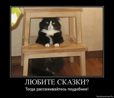 Там кота