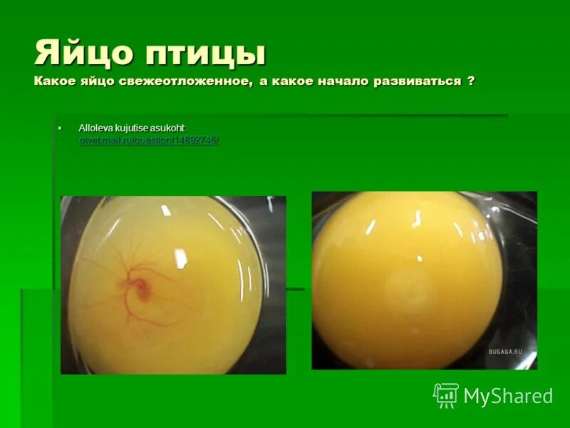 Ты яйцо. Уровень 303. Как определить свежесть яйца в стакане с водой. Тест какое ты яйцо. Как определит ьсвежестья яиц.