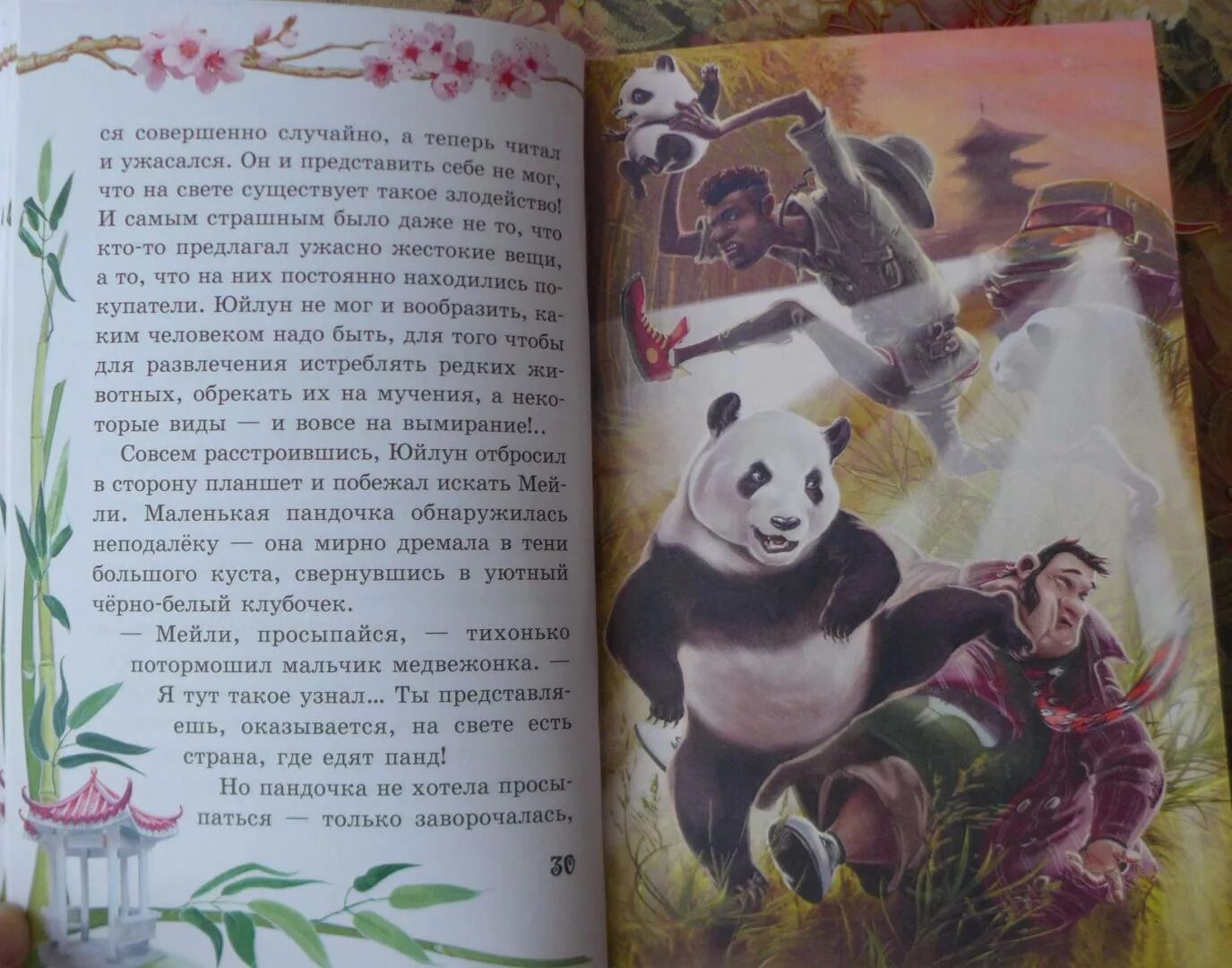 Привет медведь читать. Москва-Пекин и два медведя.