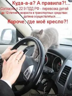 Еду далеко еду за рулем