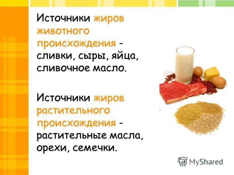 жиры животного и растительного происхождения