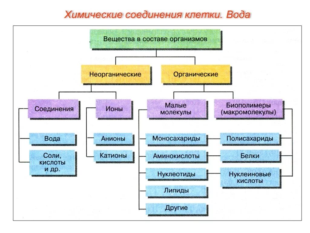 Живые организмы физико химические. Схема неорганические вещества клетки. Органические соединения входящие в состав живых организмов. Какие органические соединения входят в состав клетки. Химические вещества клетки неорганические органические.