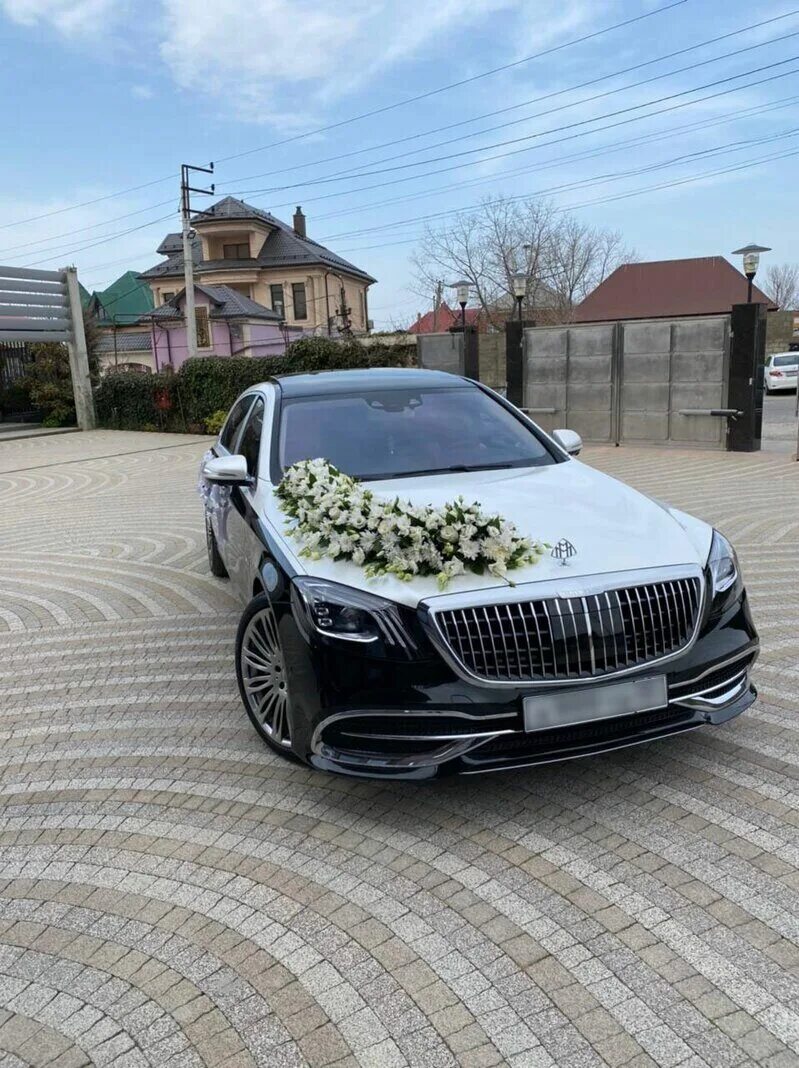 Прокат авто владикавказ. Элит авто владикавказ. Аренда авто владикавказ. Белый майбах на свадьбу. Свадебный автомобиль во владикавказе.