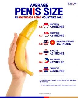 average thai penis size - milan-st.ru.