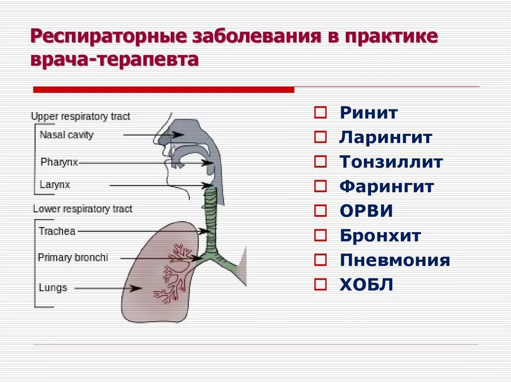 Респираторные заболевания вызывают. Респираторная инфекция. Ларингит фарингит трахеит бронхит. Респектурное заболевания.