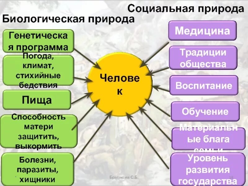 Характеристики социальной природы человека. Социальная природа человека. Биологическая и социальная природа человека. Проявление социальной природы человека. Биосоциальная природа человека.